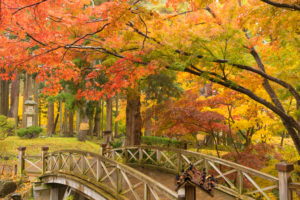 函館の紅葉『見晴公園 香雪園』見頃時期と紅葉まつり情報|生活お役立ち情報