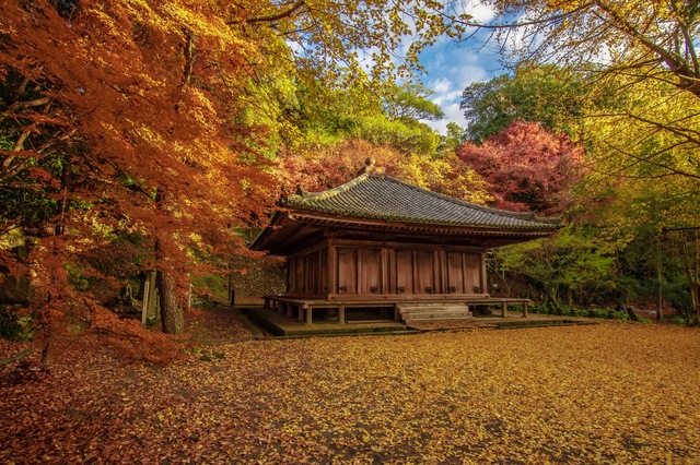 大分県 富貴寺 紅葉ライトアップの見頃時期と交通アクセス 生活お役立ち情報